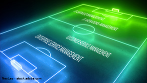 Spielfelderweiterung für das Service-Management (verweist auf: Spielfelderweiterung für das Service-Management)